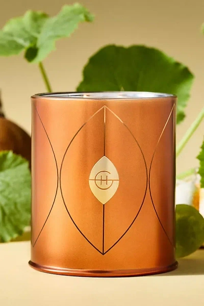 Glasshouse Fragrances Gourmand Harvest Muse Glass Candle In Orange