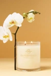 Glasshouse Fragrances Kyoto In Bloom Woody Glass Candle In Neutral