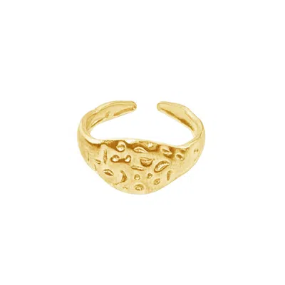 Glasstyk Women's Gold Kystring
