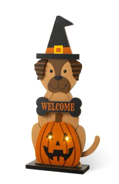 Glitzhom 30"h Halloween Wooden Lighted Witch Dog Or Cat Porch Decor With Timer In Multi