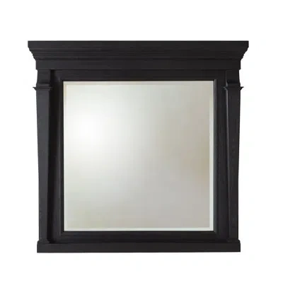 Global Views Josephine Mirror-bleached Oak In Black