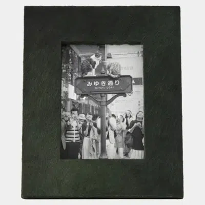 Global Views Posh Picture Frame-5x7-green Hair-on-hide 10"h X 9"w X 1"d Picture Frame