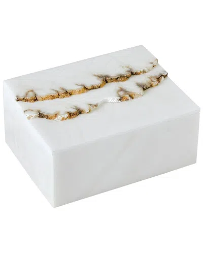 Global Views Terrain Box