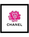 Globe Photos Retail Llc Fairchild Paris Pink Camellia In Black