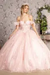 Gls 3d Flower Long Ball Gown Quinceanera Dress In Pink