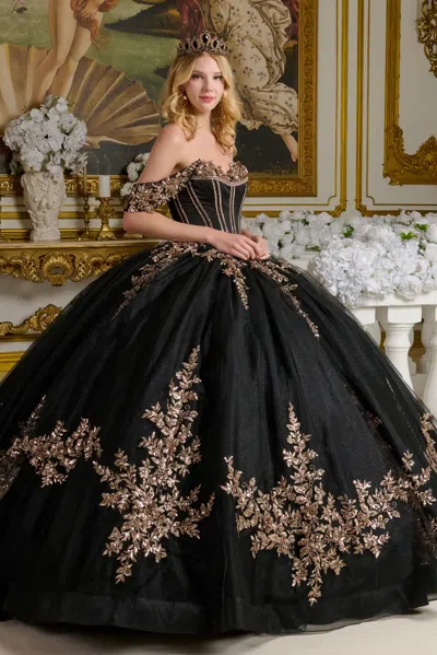 Gls Floral Ball Gown Long Quinceanera Sequin Dress In Black
