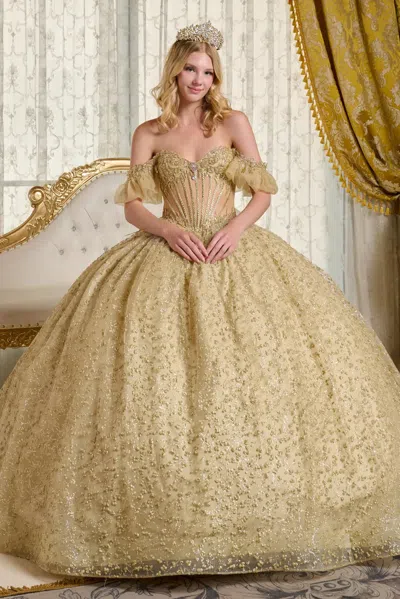 Gls Glitter Ball Gown Long Quinceanera Dress In Gold