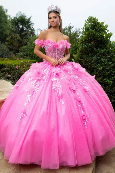 Gls Glitter Long Ball Gown Corset Quinceanera Dress In Pink