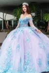 Gls Long 3d Floral Applique Sweet 16 Quinceanera Dress In Blue