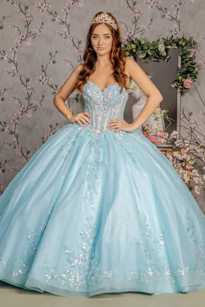 Gls Long 3d Flower Quinceanera Ball Gown In Blue