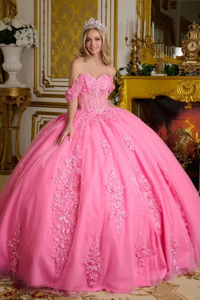 Gls Long Ball Gown 3d Floral Sequin Quinceanera Dress In Pink
