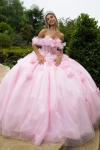 Gls Long Ball Gown Glitter 3d Floral Applique Quinceanera Dress In Pink