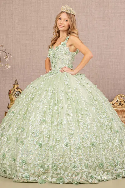 Gls Long Quinceanera Mesh Ball Gown In Green