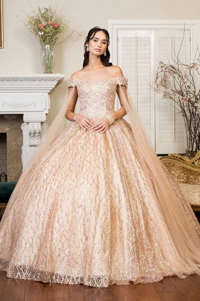 Gls Long Quinceanera Off Shoulder Glitter Sweet 16 Gown In Pink