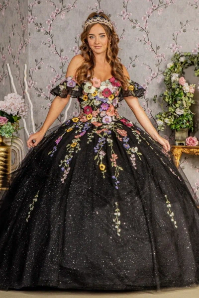 Gls Quinceanera Dress Long Ballgown In Multi
