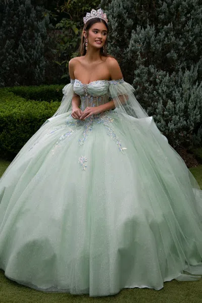 Gls Sweet 16 Glitter Long Ball Gown Quinceanera Dress In Green