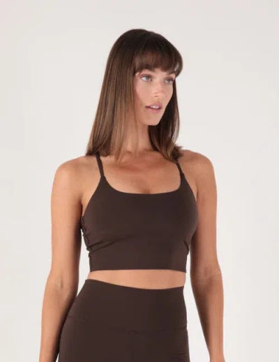 Glyder Pure Bra In Brown