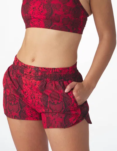 Glyder Running Animal Print Short In Cherry Snake