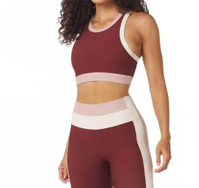 Glyder Socialite Bra In Chestnut/oatmilk/adoberose In Brown