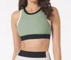 GLYDER SOCIALITE BRA IN SAGE / BLACK
