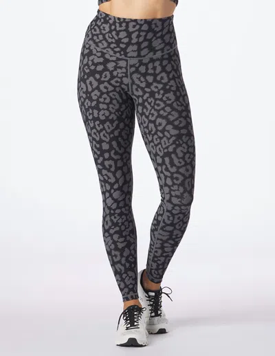 Glyder Sultry Print Leopard Leggings In Black In Multi