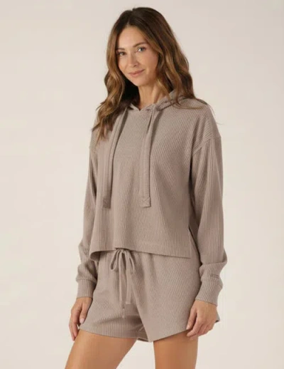 Glyder Valley Hoodie In Brown