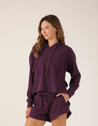 Glyder Valley Hoodie In Purple