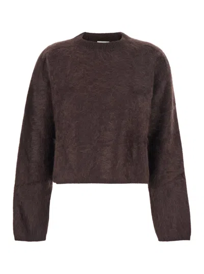 Goat Brown Cropped Crewneck Sweater With Brushed Effect In Cashmere Woman
