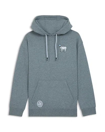 Goat Usa Boys' Polar Plunge Pullover Hoodie - Big Kid In Gray