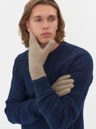 Gobi Cashmere Gloves In Taupe