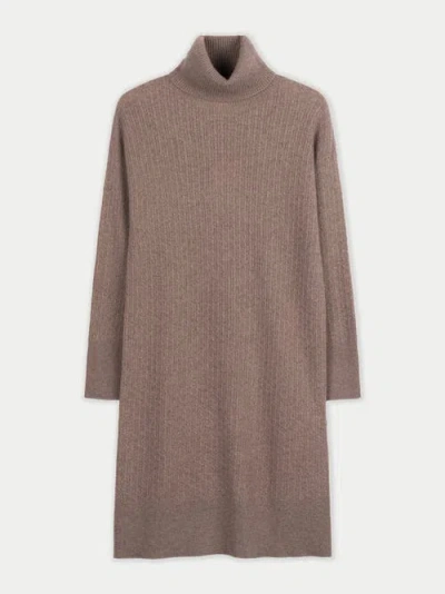 Gobi Cashmere Seamless T-neck Cashmere Dress In Brown