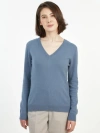 Gobi Cashmere V-neck Sweater In Purple Impression