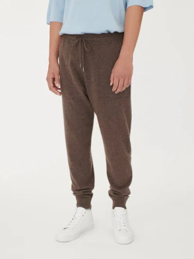 Gobi Mongolian Cashmere Jogger In Cocoa