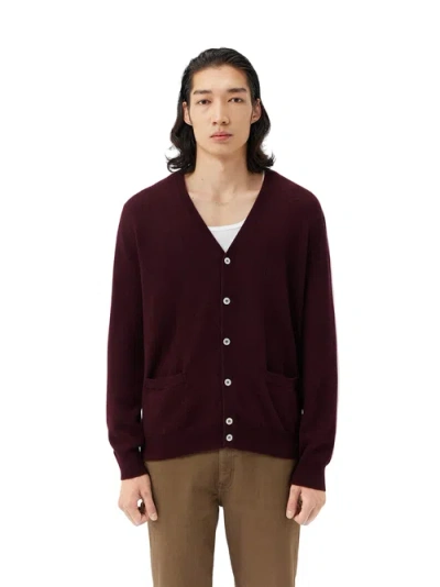 Gobi Mongolian Cashmere V Neck Button Cardigan In Burgundy