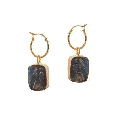 Goddess Charms Women's Gold Labradorite Elemental Crystal Earrings In Black