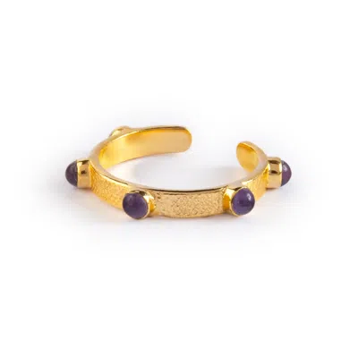 Goddess Charms Women's Gold / Purple Third Eye Chakra Ring - Amethyst