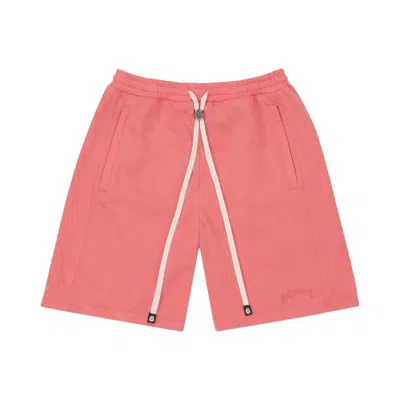 Pre-owned Godspeed Vital Terry Shorts 'salmon' | Pink | Men's Size L
