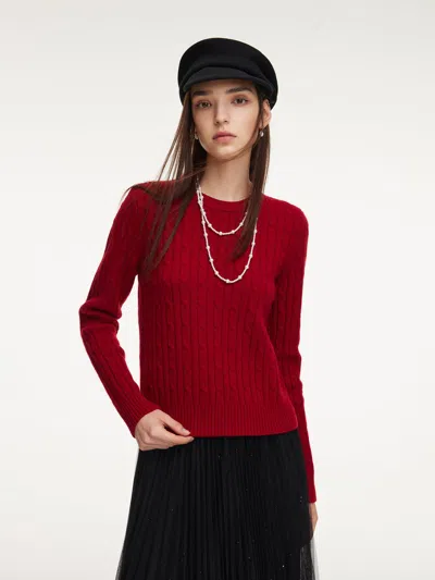 Goelia 100% Wool Cable Knit Women Sweater In Multi