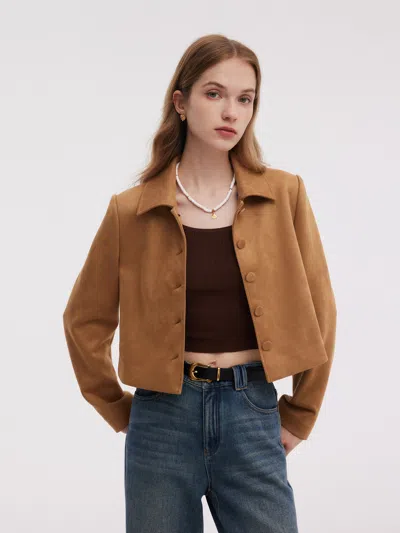 Goelia Faux Suede Women Single Breasted Crop Jacket In Brown