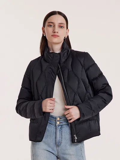 Goelia Stand Collar Goose Down Jacket In Black