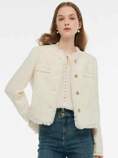 Goelia Tweed Collarless Women Crop Jacket In Multi