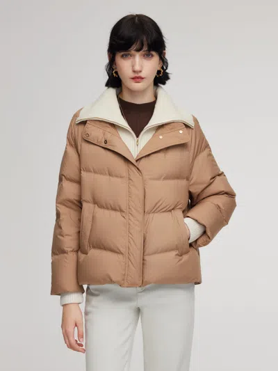 Goelia Windproof Goose Down Jacket With Detachable Knit Collar In Brown