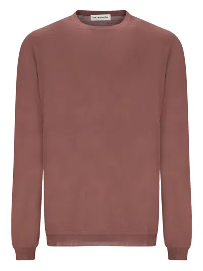 Goes Botanical Tubular Crewneck Sweater In Brown