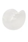 Gohar World Mother Of Pearl Nautilus Dish In White