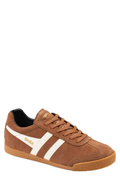 Gola Harrier Low Top Sneaker In Umber/off White/black