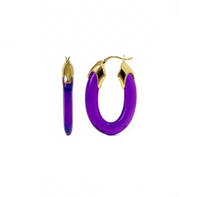 Gold & Honey Women's Carved Oval Lucite Birthstone Hoop Earrings In February - Amethyst In Purple