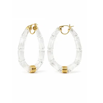 Gold & Honey Women's Chloe Bamboo Lucite Hoop Earrings In Clear In Metallic