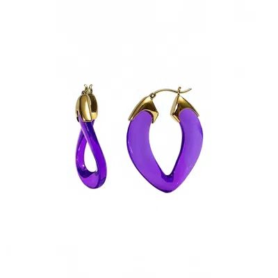 Gold & Honey Women's Curb Link Lucite Birthstone Hoop Earrings In February - Amethyst In Purple