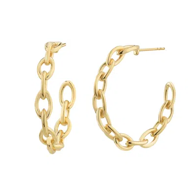 Gold & Honey Women's Gold Link Hoops