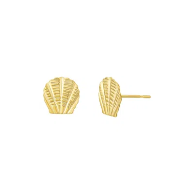 Gold & Honey Women's Gold Petite Seashell Studs